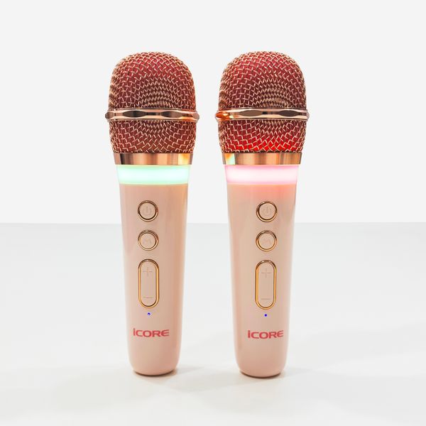 Loa Karaoke iCore VSM99 – Thiết Kế Cổ Điển Kết Hợp Hiện Đại, Âm Thanh Chất Lượng, Giá Cực Tốt