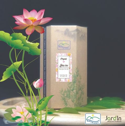  Trà Xanh Sen Lotus Green Tea 