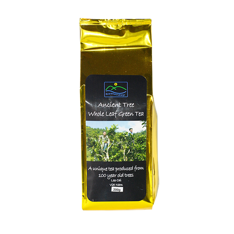  Trà xanh cổ thụ hữu cơ Organic Ancient Green Tea 