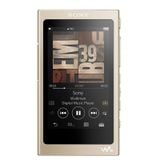 Máy nghe nhạc Sony Walkman NW-A45 chính hãng