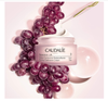 Kem dưỡng Caudalie Resveratrol - Lift Firming Cashmere Cream 15ml (Bill Anh)