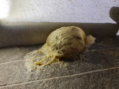 Set Yến Chưng Sẵn 6 HỦ NGUYÊN CHẤT