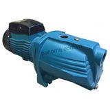 Máy bơm đầu lợn Lepono 1.5KW