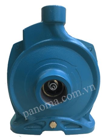 MÁY BƠM LY TÂM LEPONO ACM 75 750W