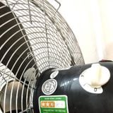 Quạt công nghiệp đế gang DETON