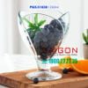 Ly Kem Pasabahce Iceville 240ml | Pasabahce 51638 , Nhập khẫu Thổ Nhĩ Kỳ