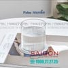 Ly Thủy Tinh Ocean Pulse Rock Glass 235ml | B24608 , Nhập Khẩu Thái Lan