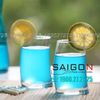 Ly Thủy Tinh Pasabahce Penguen Water Tumbler Glass 295ml | Pasabahce 1081025 , Nhập Khẩu Thổ Nhĩ Kỳ