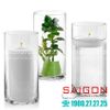 Bình Hoa Thủy Tinh Libbey Cylinder Vase 8.75'' | Libbey 885 , Nhập Khẩu USA