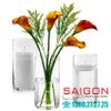 Bình Hoa Thủy Tinh Libbey Cylinder Vase 8.75'' | Libbey 885 , Nhập Khẩu USA