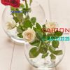 Chậu Hoa Thủy Tinh Tròn Pasabahce Botanica Cao 12cm | Pasabahce 43427 , Nhập Khẩu Thổ Nhĩ Kỳ