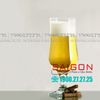 Ly Thủy Tinh King Dealay Maldive Tulipe Beer Glass 485ml | JX3729 , Thủy Tinh Cao Cấp