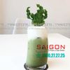 Ly Thủy Tinh Pasabahce Penguen Beer Tumbler Glass 390ml | Pasabahce 642544 , Nhập Khẩu Thổ Nhĩ Kỳ