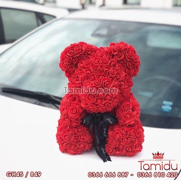 GẤU HOA HỒNG - NGƯỜI BẠN LUÔN Ở BÊN EM!!!