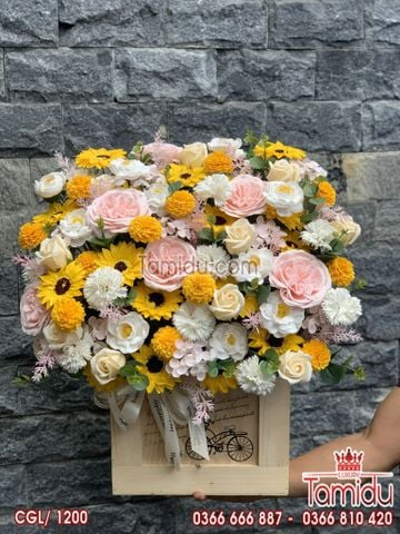 Chậu Hoa Sáp Cao Cấp