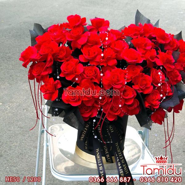 Chậu hoa Hồng Sáp Ecuador Cao Cấp