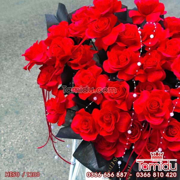 Chậu hoa Hồng Sáp Ecuador Cao Cấp