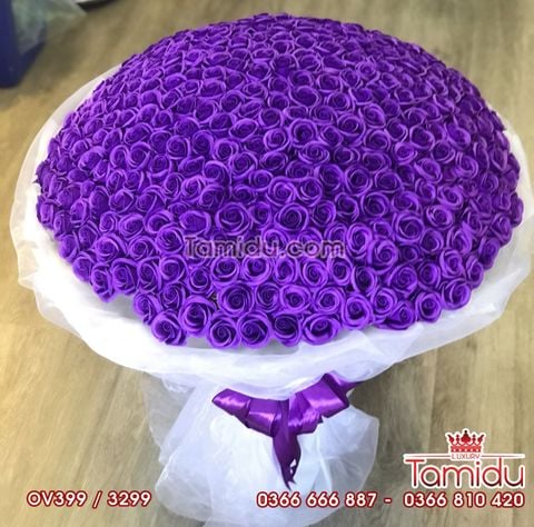 hoa hồng bất tử