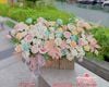 Vườn hoa pastel nhẹ nhàng say đắm