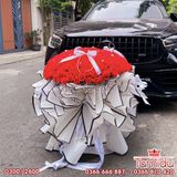 Bó Hoa voan bèo nàng thơ