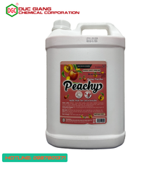 Nước rửa tay hương Đào Peachy 5kg - NRT5kg