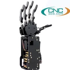 Bàn tay robot hình người