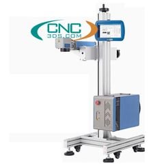 Máy khắc laser băng tải FL3