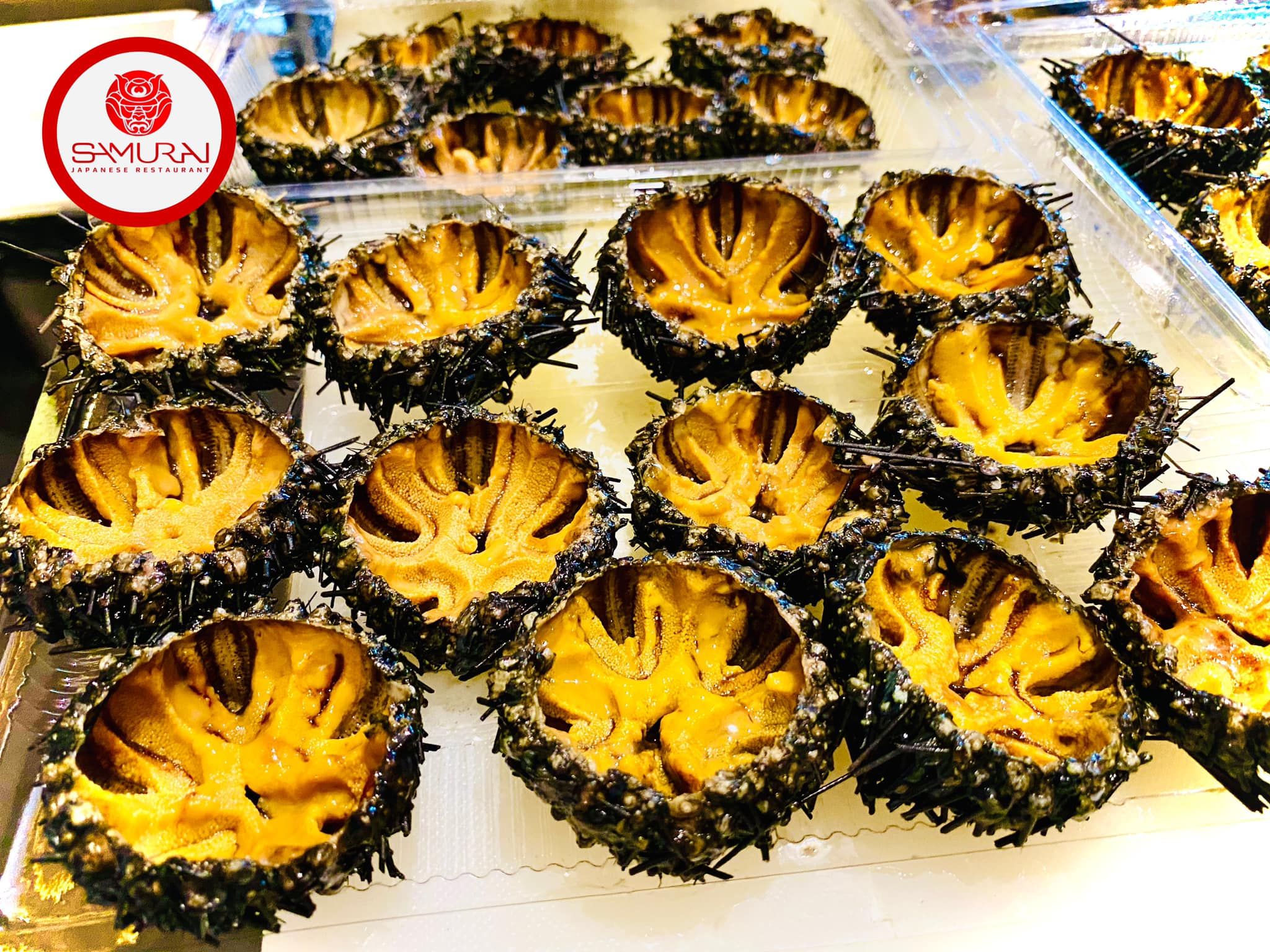 Samurai - Nguyễn Chánh