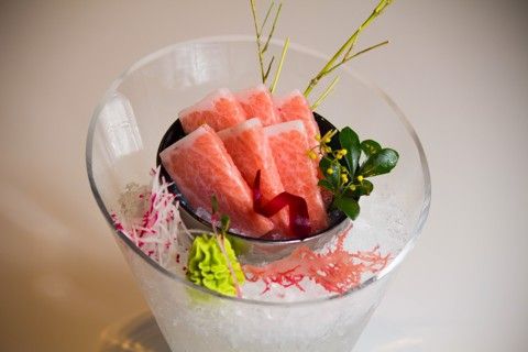 Kiến Đỏ Akaari 1 - Trần Thái Tông