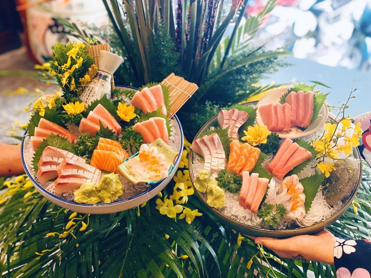 Kiến Đỏ Akaari 1 - Trần Thái Tông