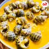 Hải Sản Tomato - Lê Văn Hưu