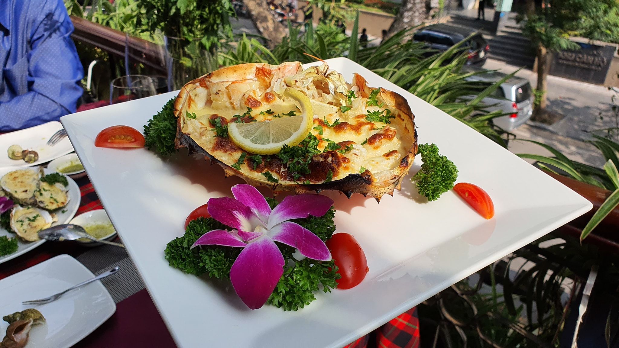 IL Privato - Phan Bội Châu