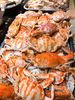 Bay Seafood Buffet - Tông Đản