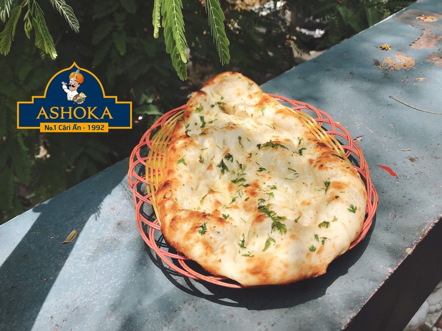 Ashoka - Lê Thánh Tôn