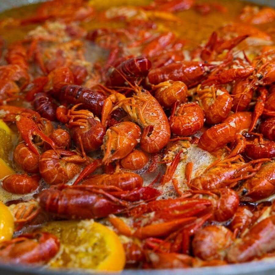 Mr. Tom American - Trần Đại Nghĩa