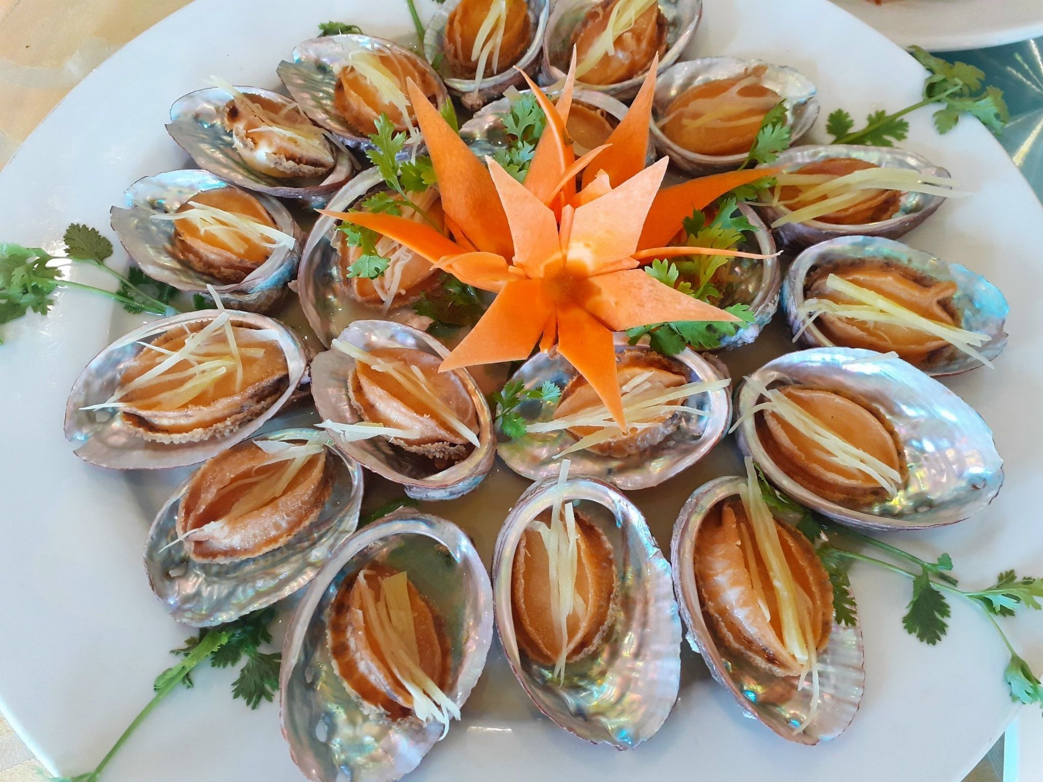 Phương Nguyên - 51 - 53 Tô Ngọc Vân