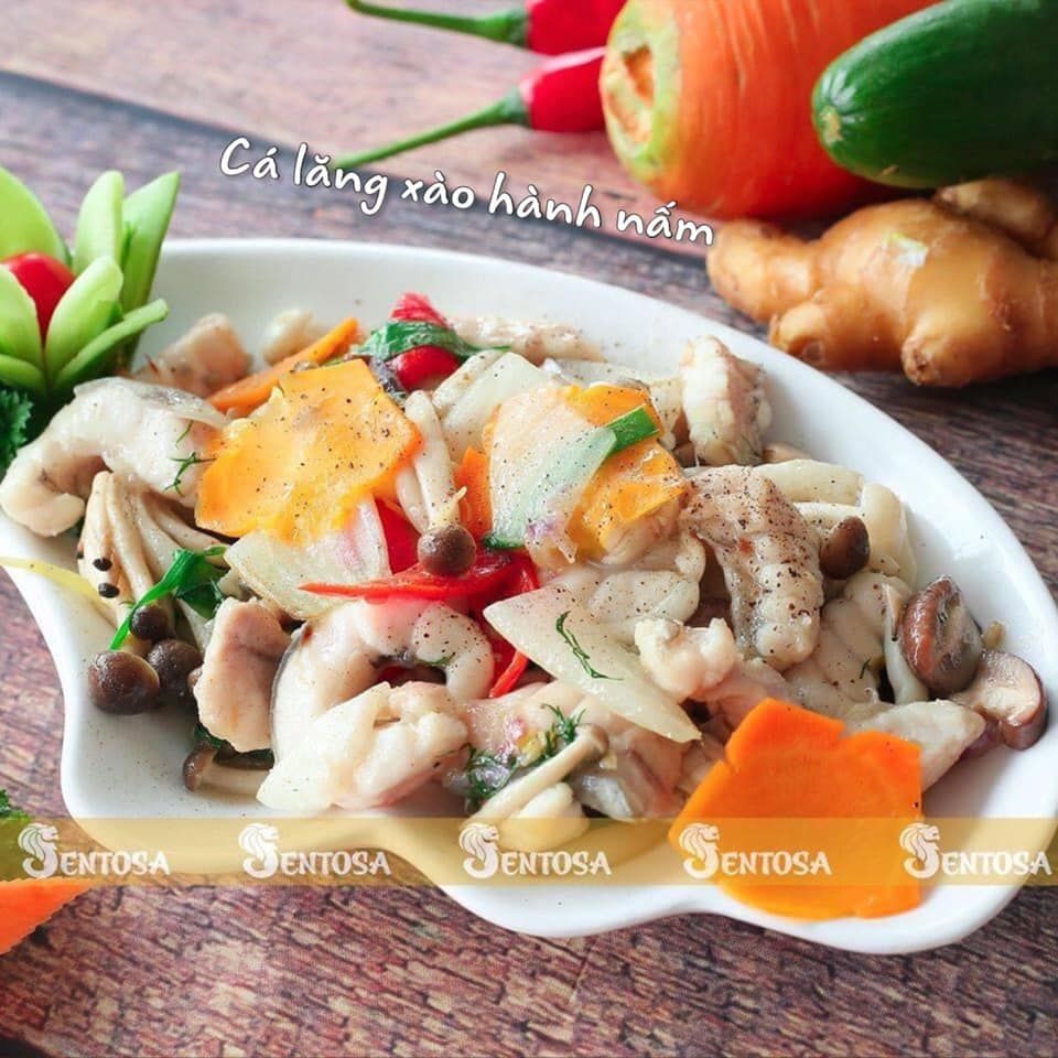 Sentosa - Phan Bội Châu