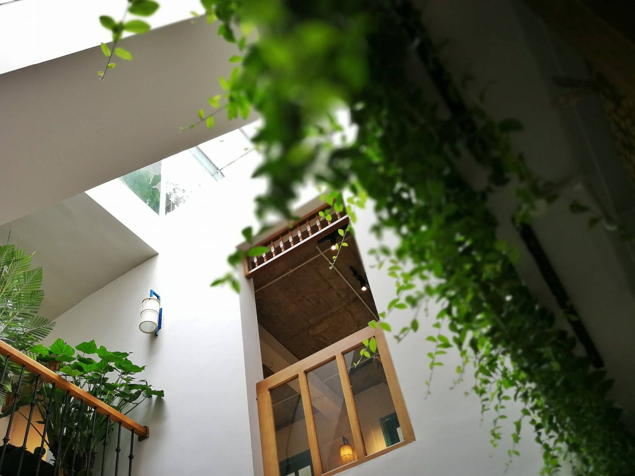 Luk Lak Vietnamese - Lê Thánh Tông