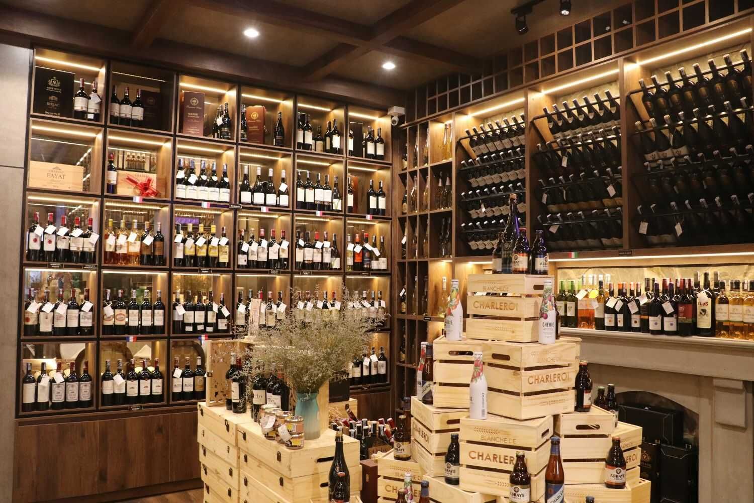 The Anchor - Lê Thanh Nghị