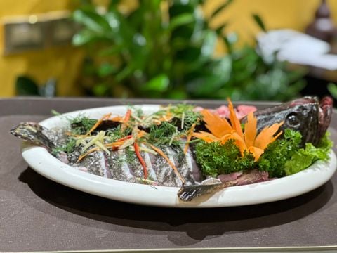 Sen Deli - Trần Thủ Độ