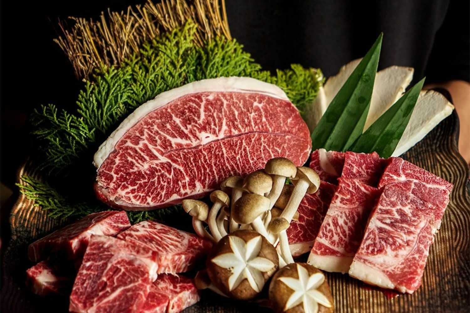 Shogun - TTTM Lotte Đào Tấn