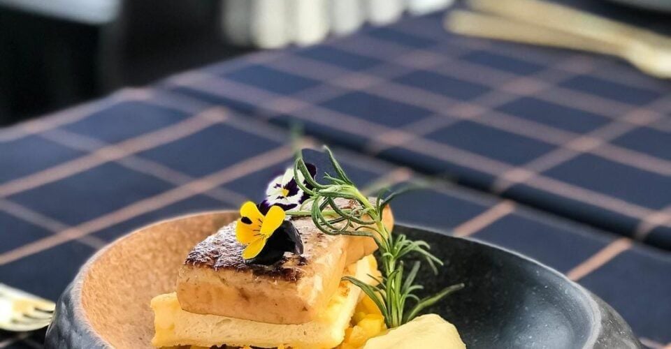 Salmonoid - Cao Bá Quát