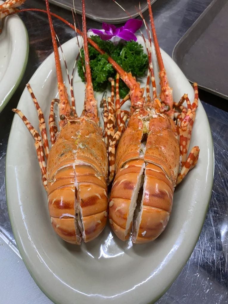 Sen Tràng An - Phạm Văn Nghị