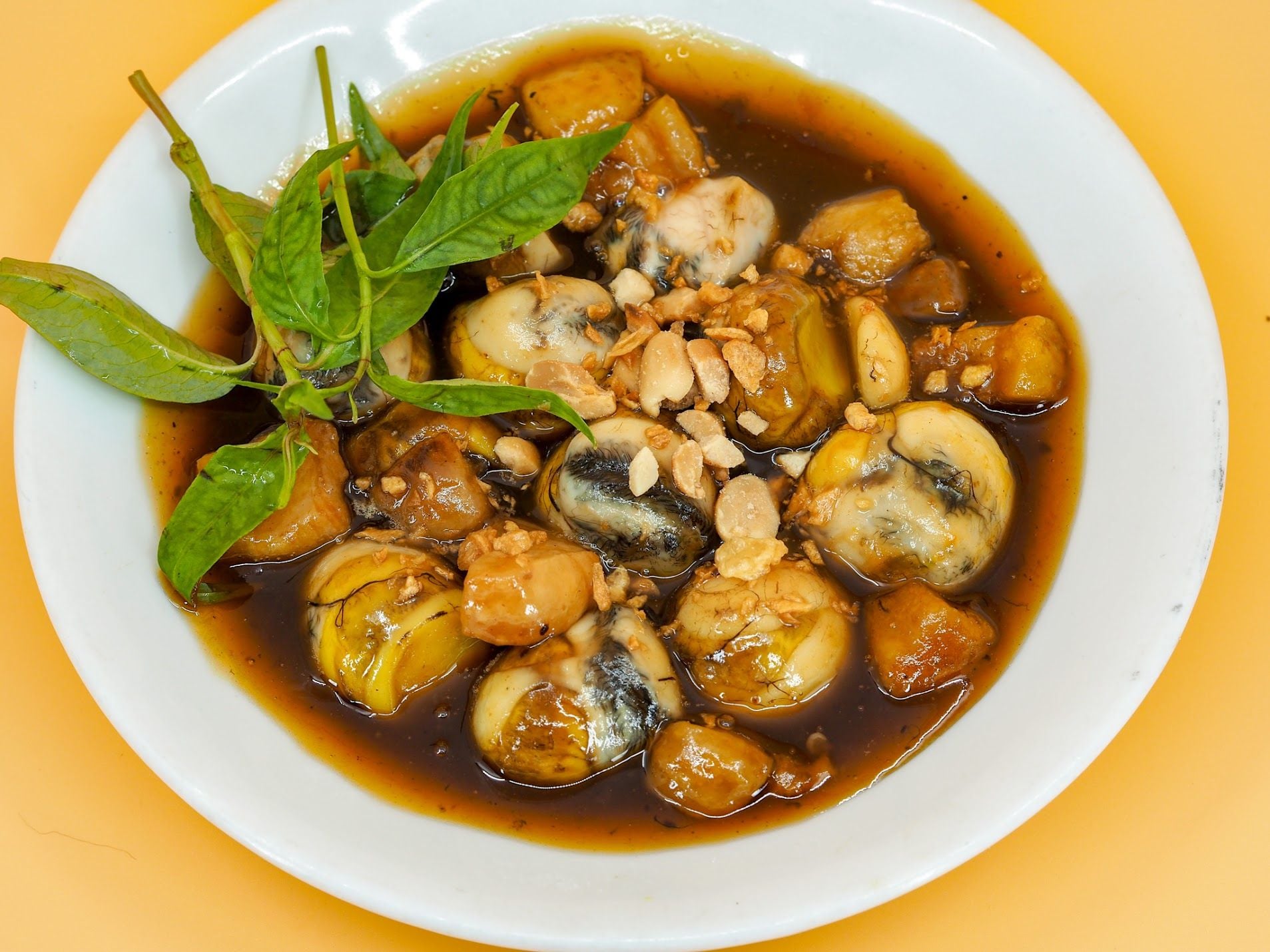 Ốc Vi Saigon - Gia Ngư