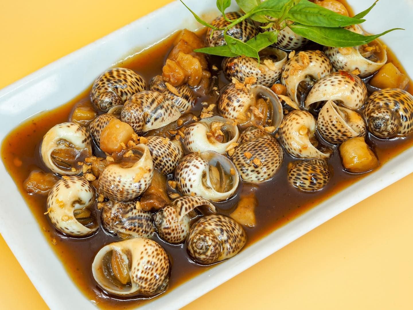 Ốc Vi Saigon - Gia Ngư