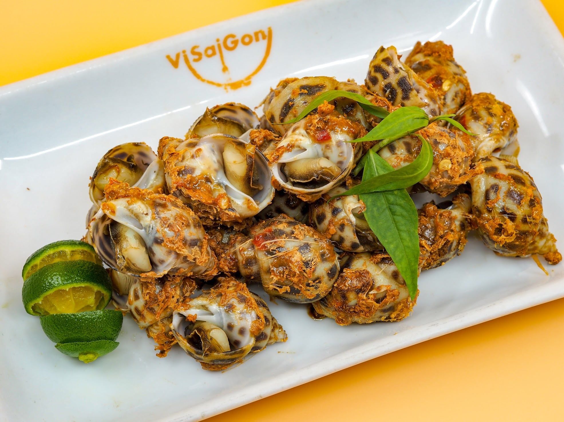 Ốc Vi Saigon - Gia Ngư