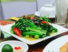 Hải Yến - Trần Cung