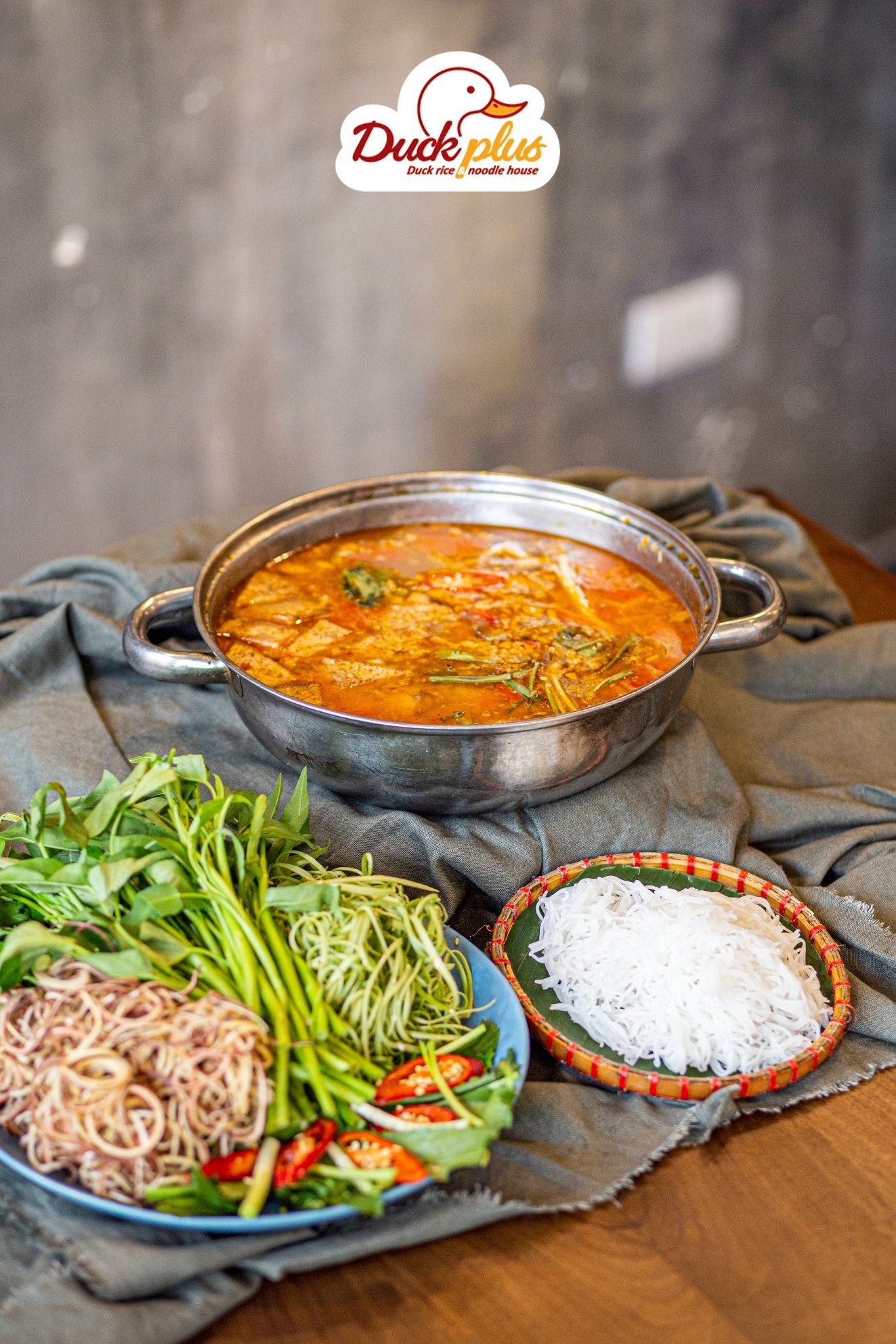 Duck Plus - Vũ Phạm Hàm