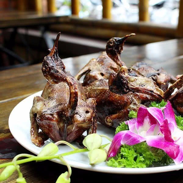 Thiên Cầm Quán - Phạm Tuấn Tài