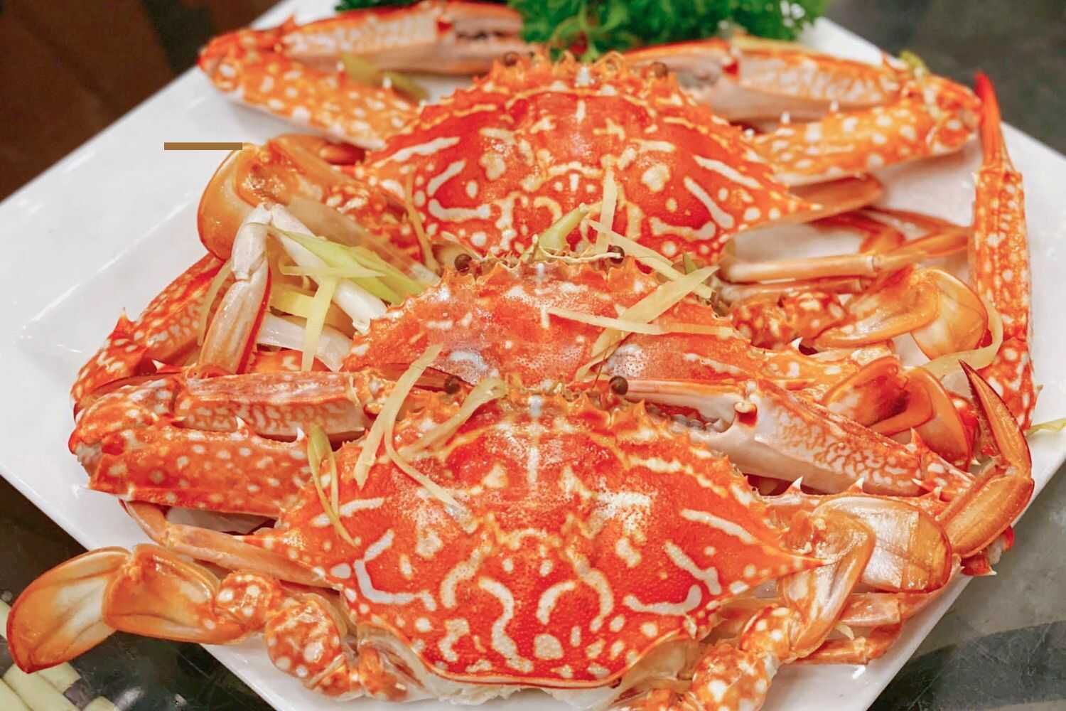 Hải Sản Xóm Vắng - Nguyễn Cơ Thạch